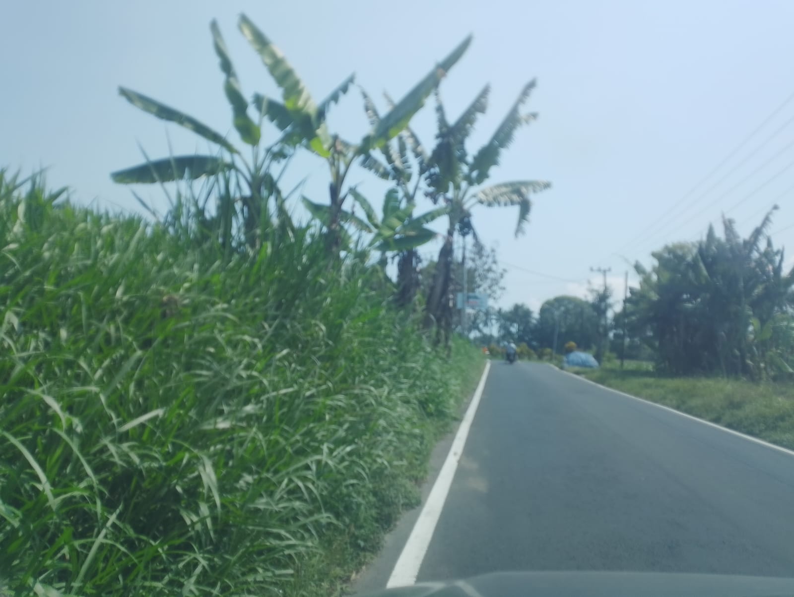 Perencanaan Pelebaran jalan di Desa Kemiri sebagai Konektivitas antar wilayah oleh DPUBM Kabupaten Malang.